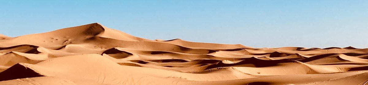 Desert dunes in the daylight