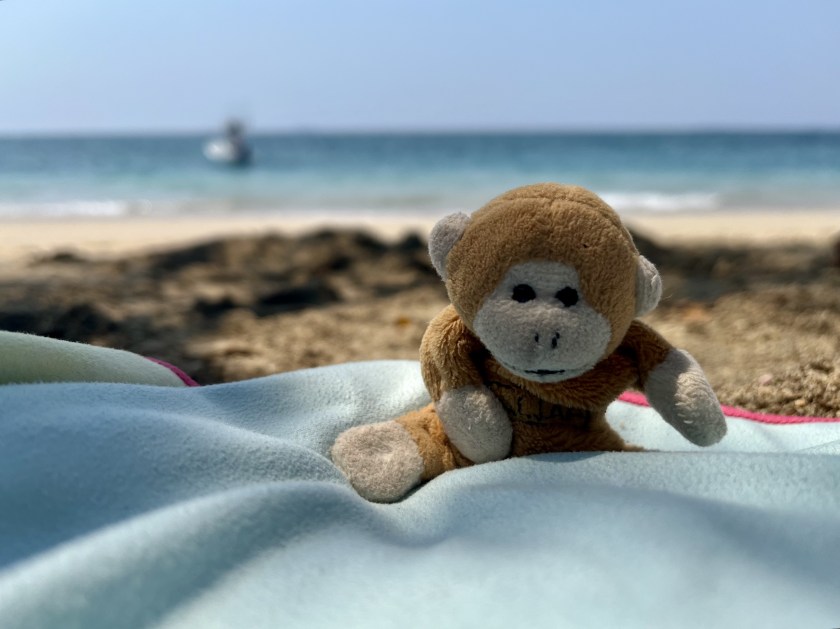 Close-up of toy monkey with the beach as the background